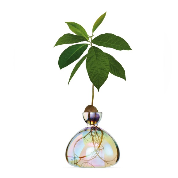 💚💚 MOMA Iridescent Avocado Vase - Picture 1 of 8